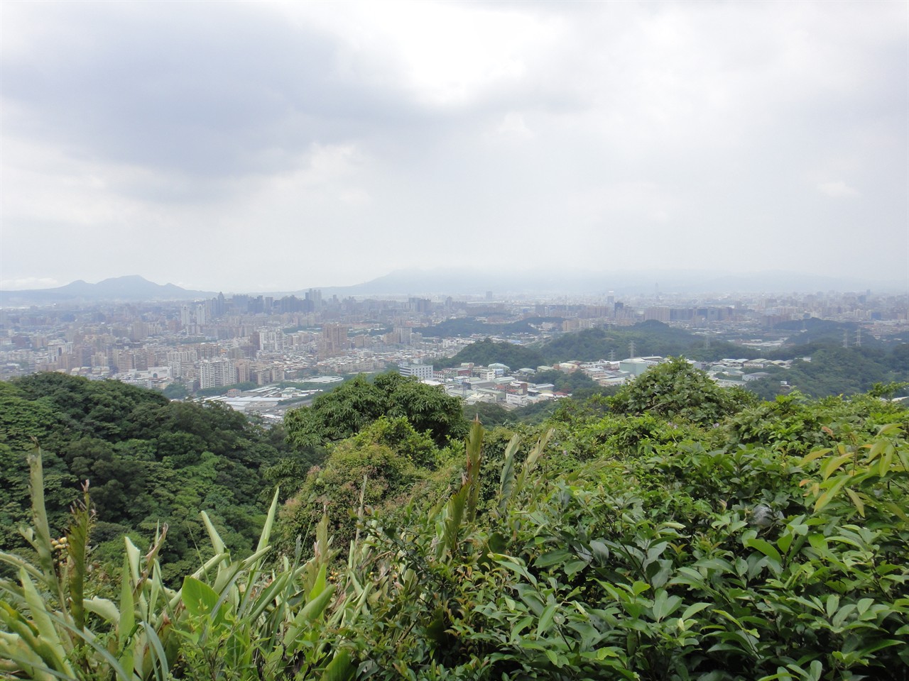 20110618土城大尖山
