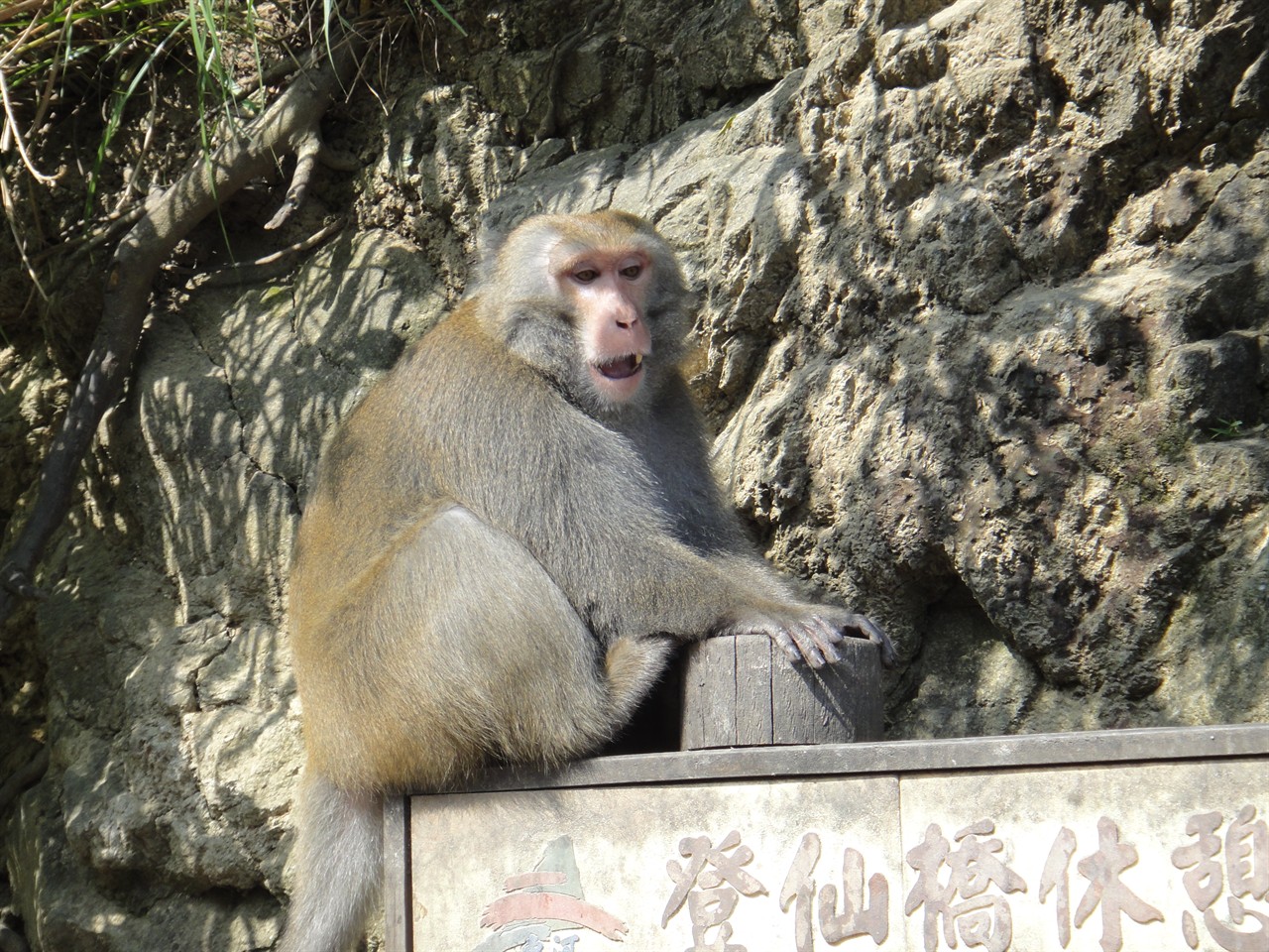 20111204台東遊